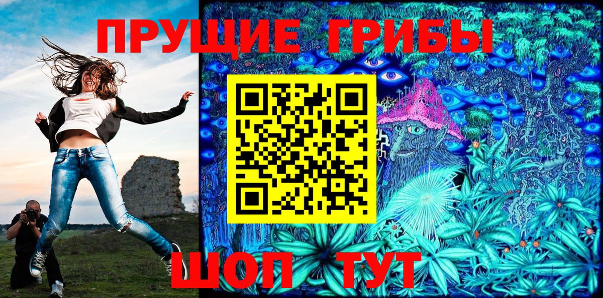Галлюциногенные грибы Psilocybe  Псилоцибиновые грибы прущие грибы  Лениногорск  Вход с VPN 